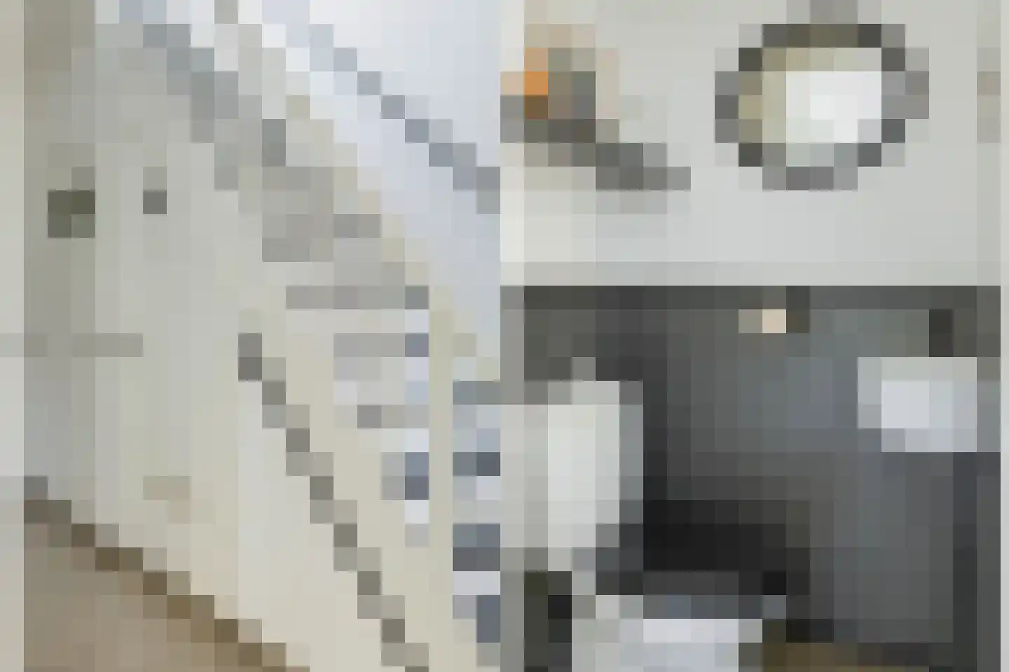 Baanstraat 23 Woerden thumbnail 8