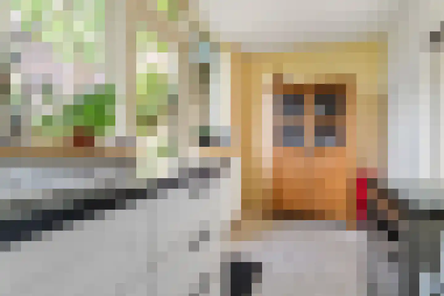Baanstraat 25 Utrecht thumbnail 15