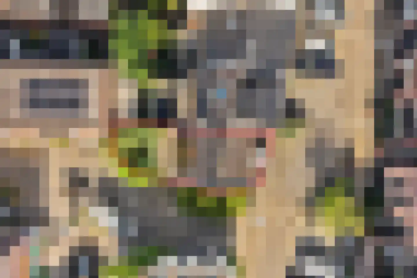 Baanstraat 25 Utrecht thumbnail 29