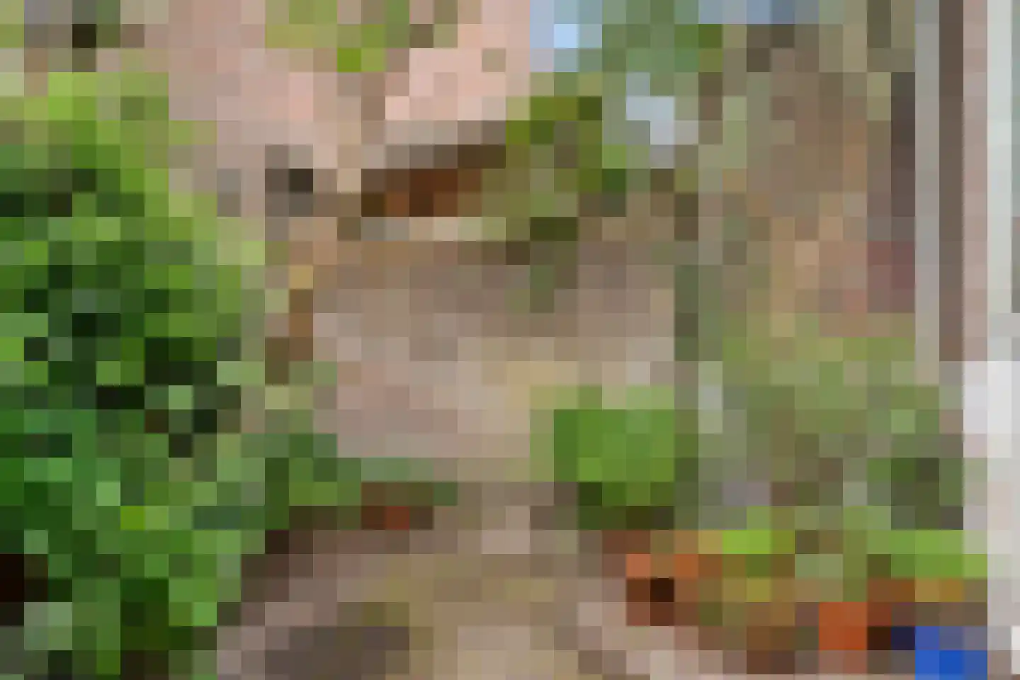 Baanstraat 25 Utrecht thumbnail 4