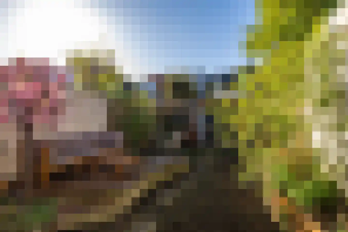 Baanstraat 34 Groningen thumbnail 33