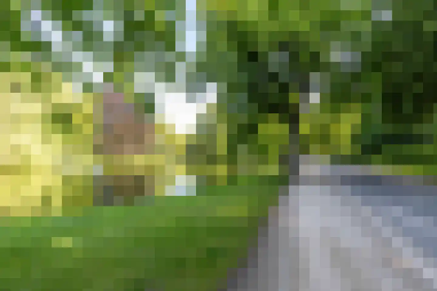 Baanstraat 34 Groningen thumbnail 38