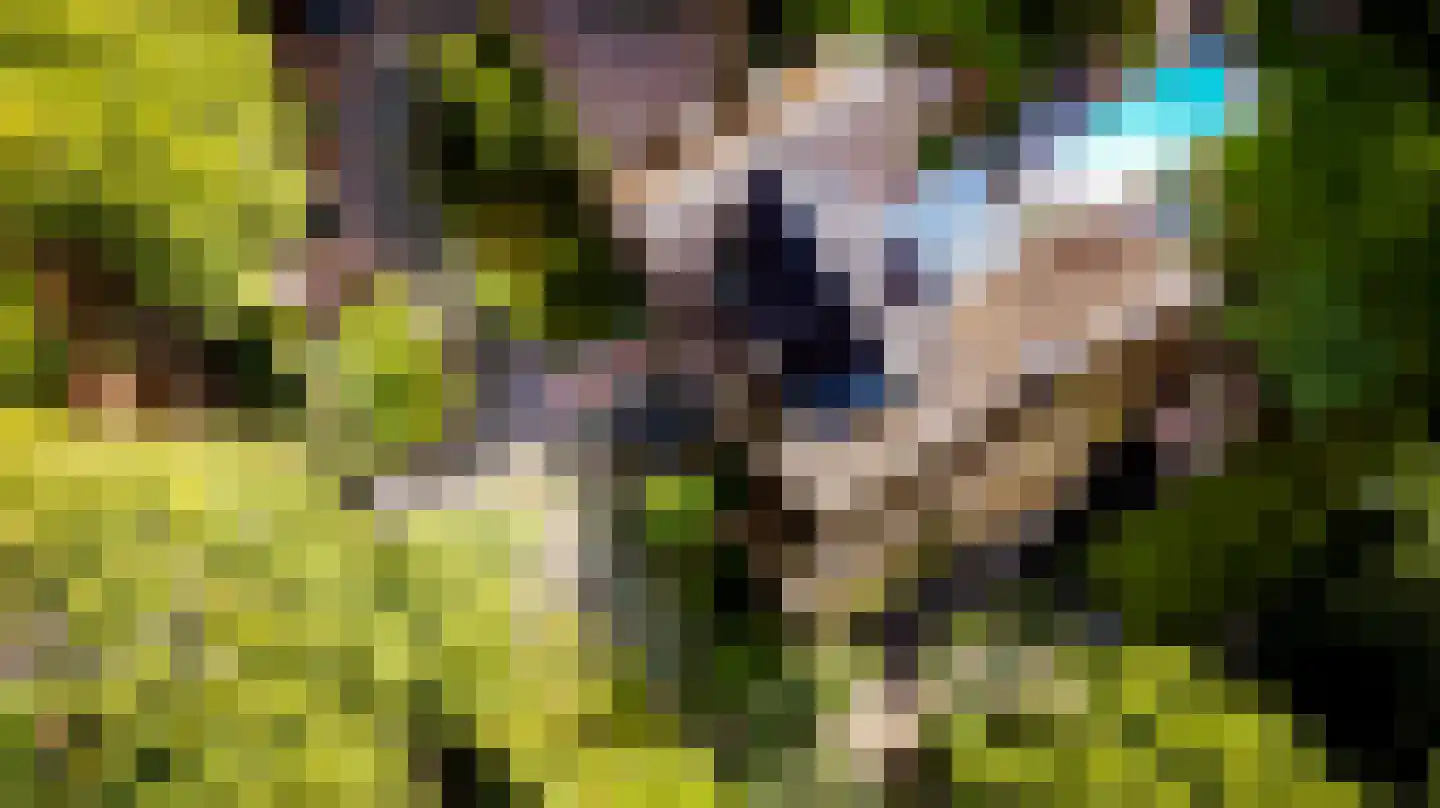 Baanstraat 35 Landgraaf thumbnail 5