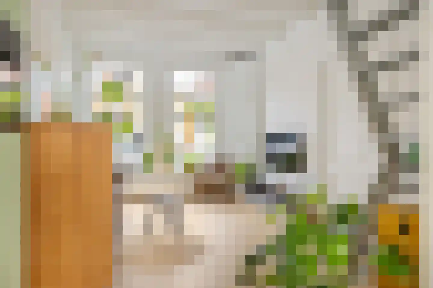 Baanstraat 42 Groningen thumbnail 11