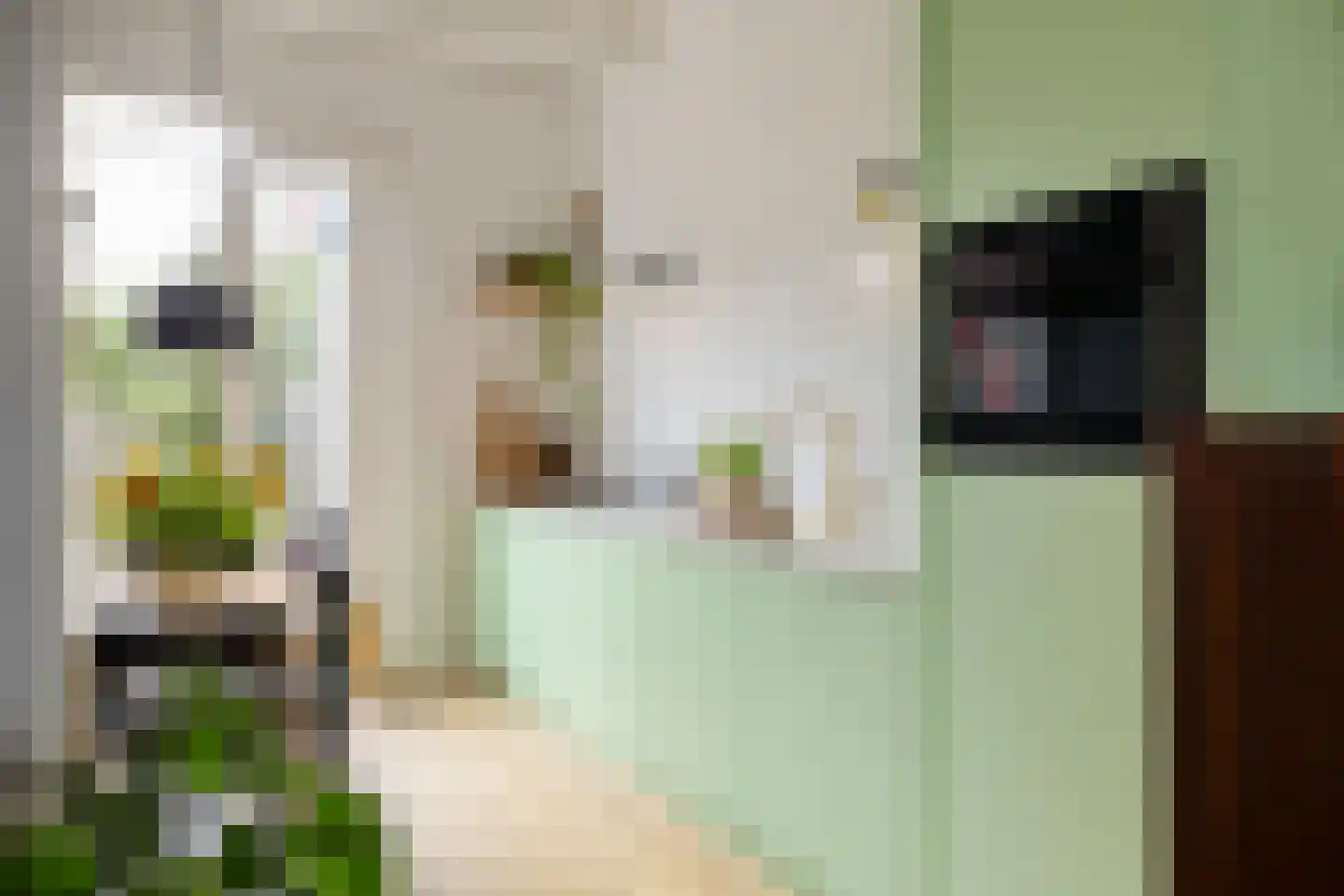 Baanstraat 42 Groningen thumbnail 16