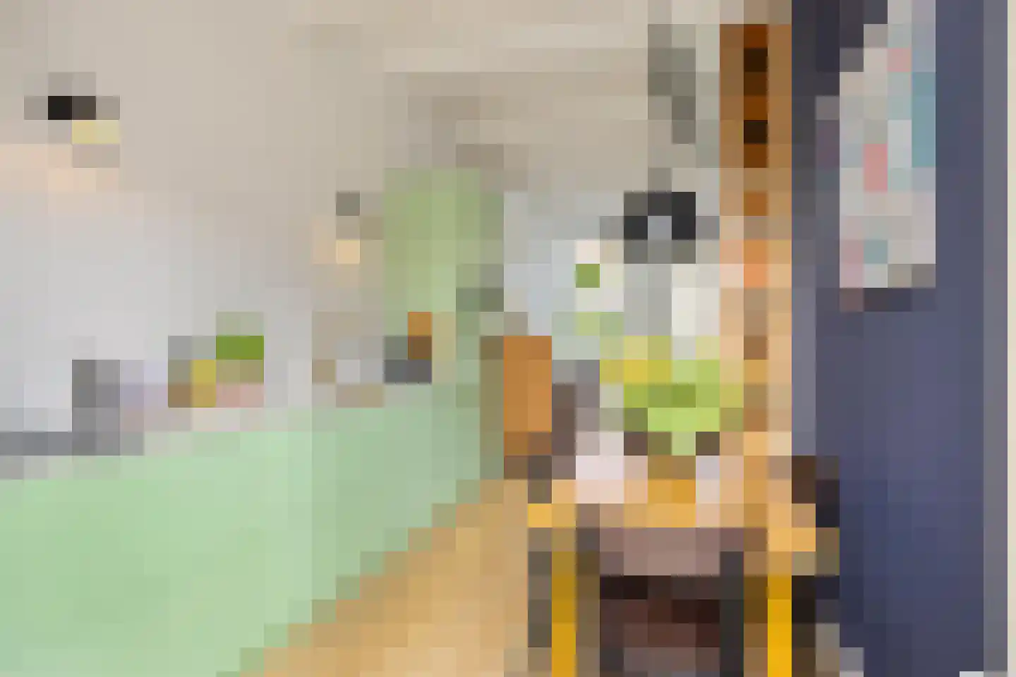 Baanstraat 42 Groningen thumbnail 19