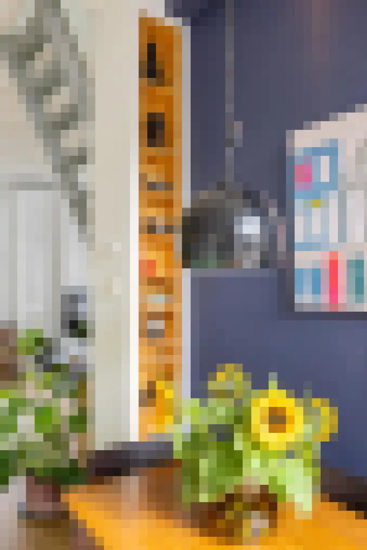 Baanstraat 42 Groningen thumbnail 21
