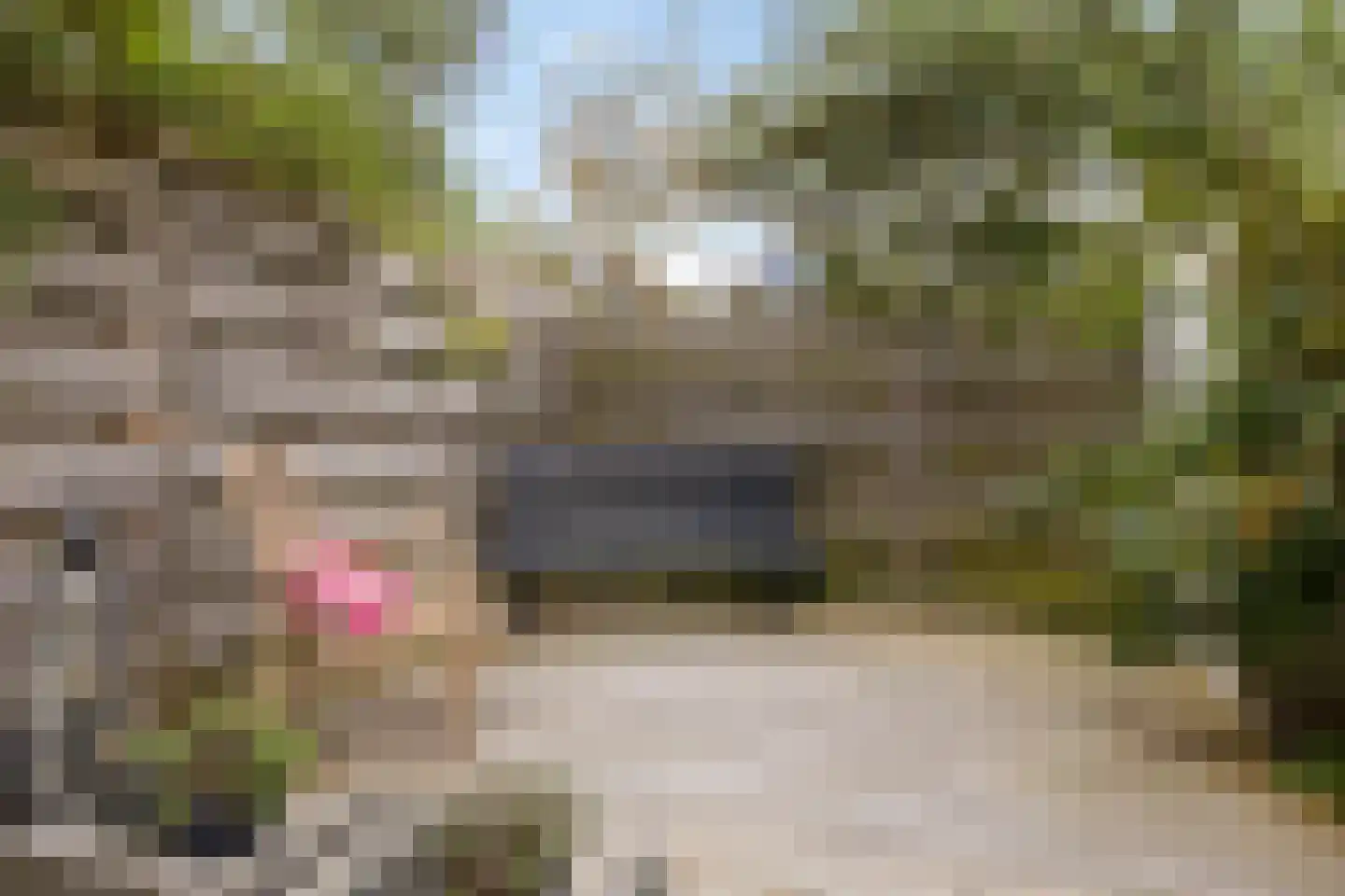 Baanstraat 42 Groningen thumbnail 28