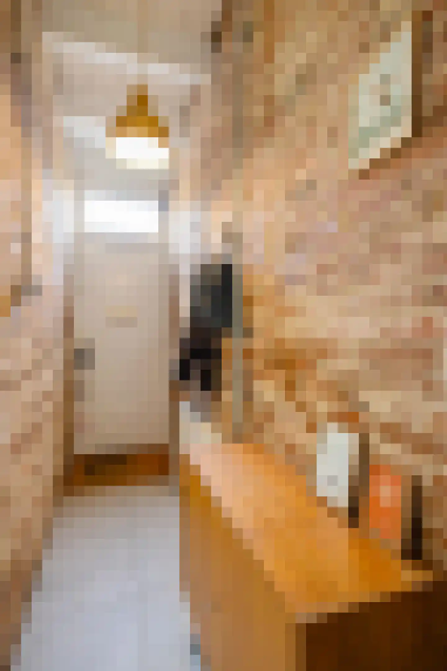 Baanstraat 42 Groningen thumbnail 9