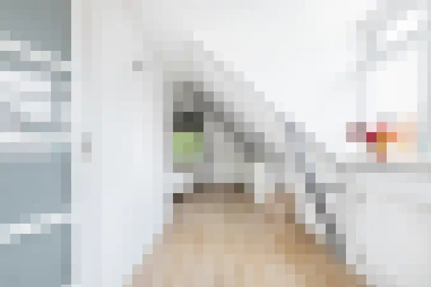 Baanstraat 43 Groningen thumbnail 27