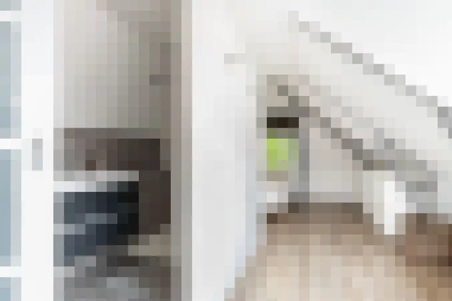 Baanstraat 43 Groningen thumbnail 4