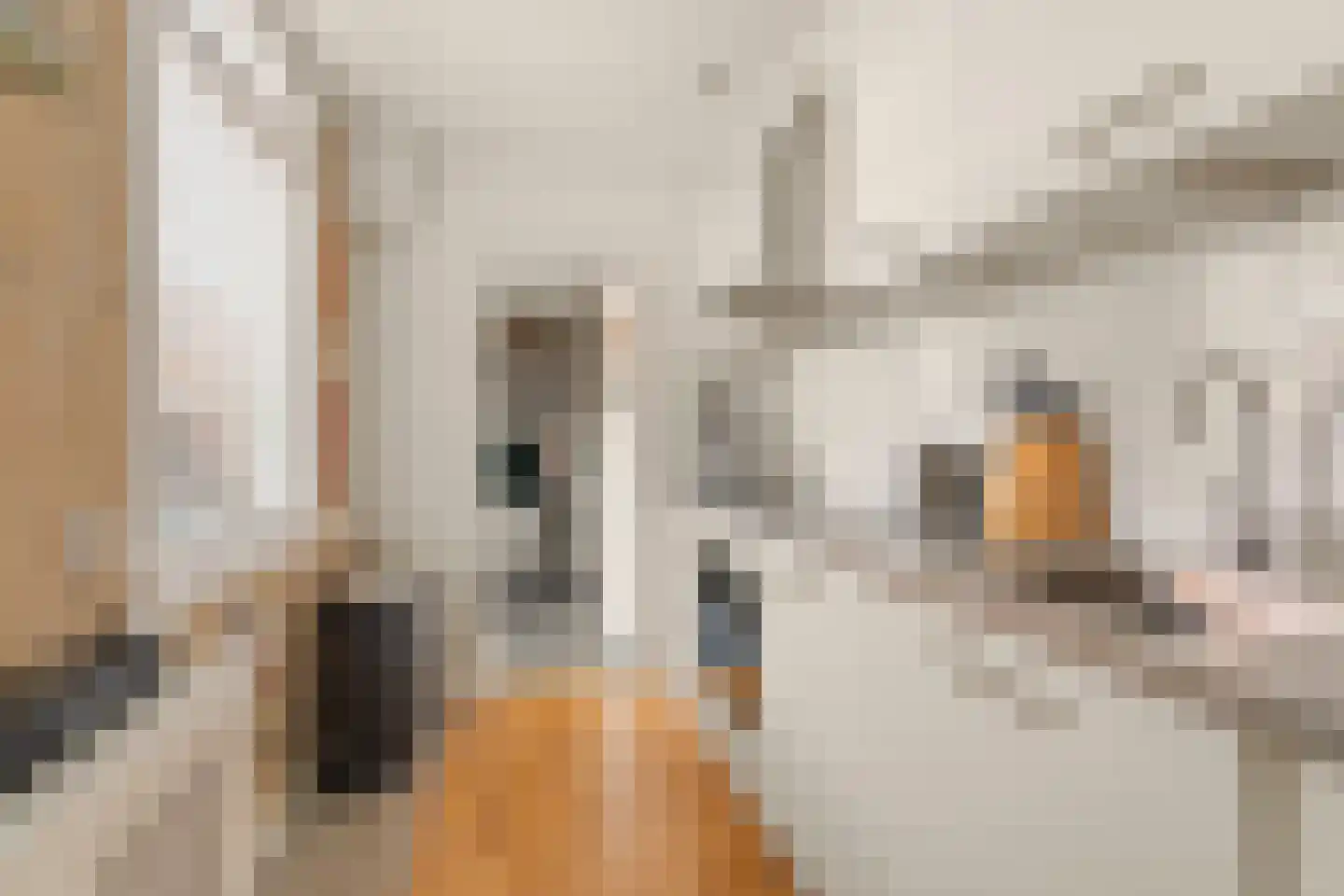 Baanstraat 57 Beverwijk thumbnail 10