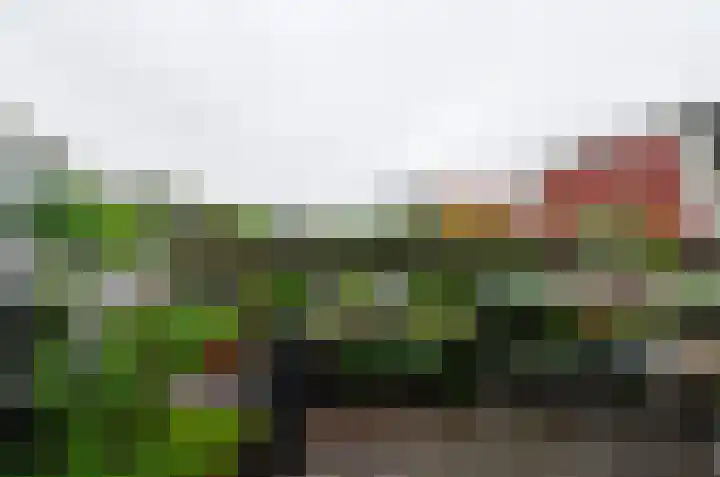 Baanstraat 6 Groningen thumbnail 32