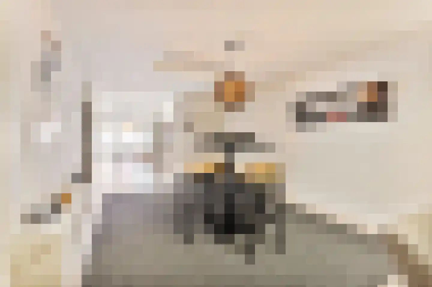 Baanstraat 62 Landgraaf thumbnail 7