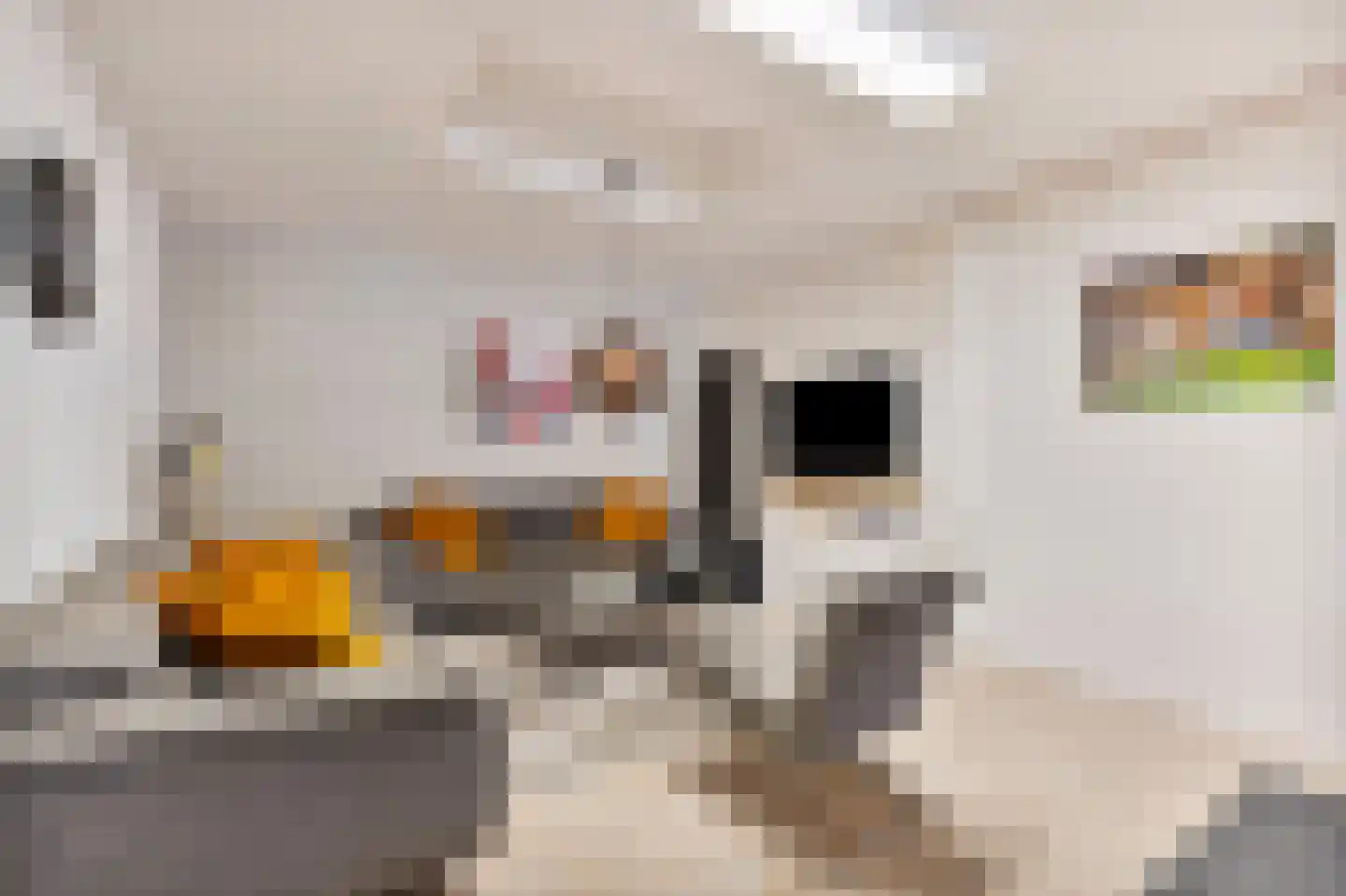 Baanstraat 62 Landgraaf thumbnail 8