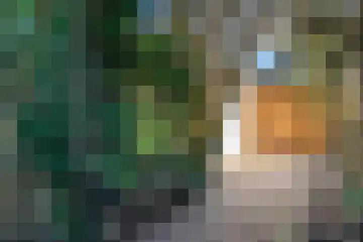 Baanstraat 7 Alkmaar thumbnail 30