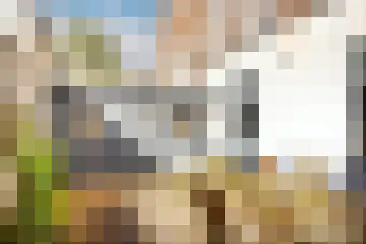 Baanstraat 7 Utrecht thumbnail 17