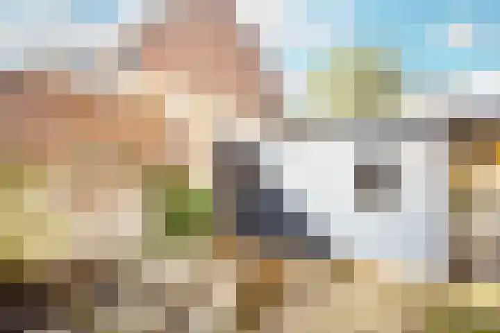 Baanstraat 7 Utrecht thumbnail 19