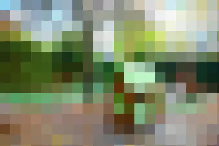 Baanstraat 7 Utrecht thumbnail 30