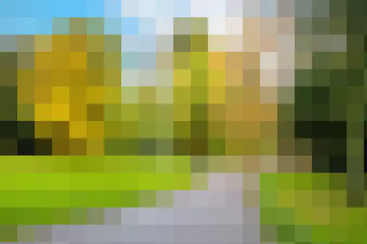 Baanstraat 7 Utrecht thumbnail 31