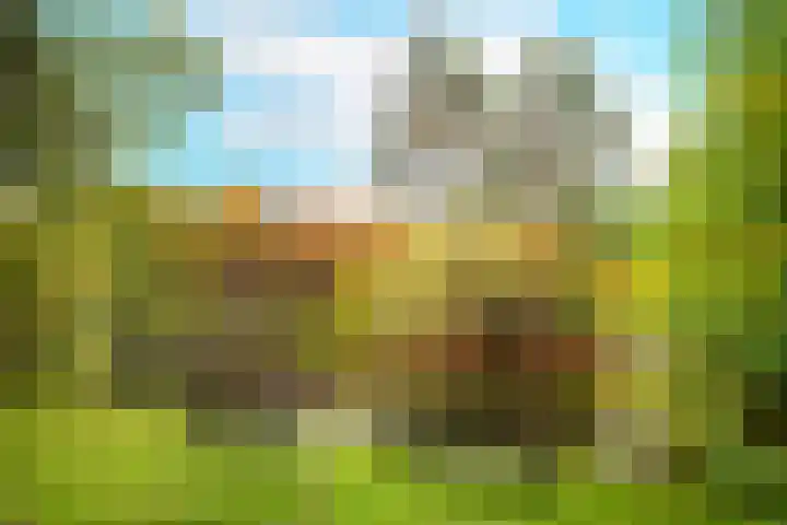 Baanstraat 7 Utrecht thumbnail 32