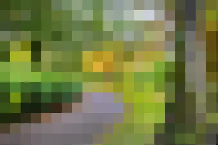 Baanstraat 7 Utrecht thumbnail 33