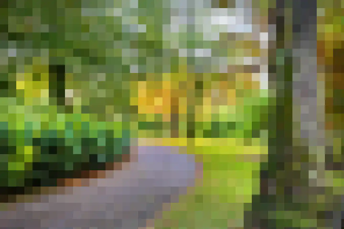 Baanstraat 7 Utrecht thumbnail 33