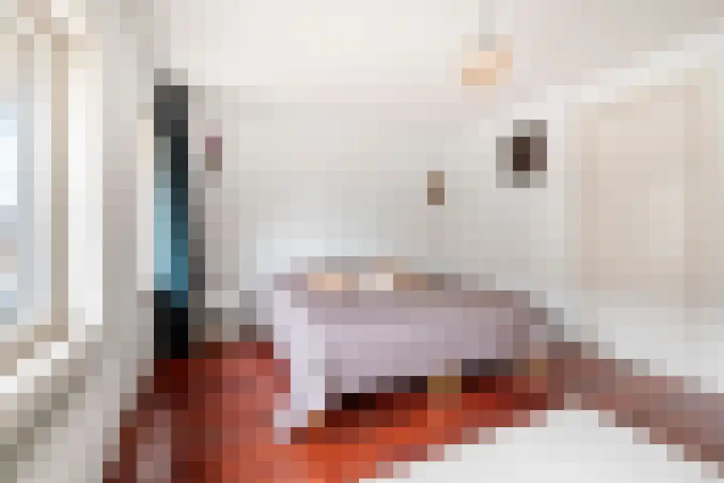 Baanstraat 75 Beverwijk thumbnail 34
