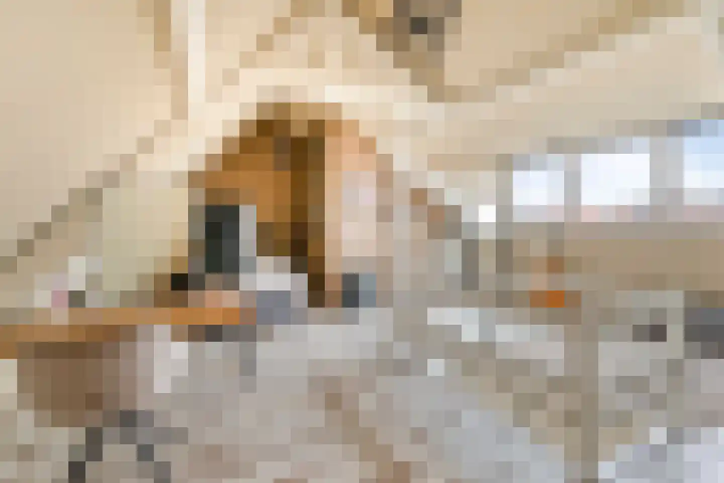 Baanstraat 75 Beverwijk thumbnail 4