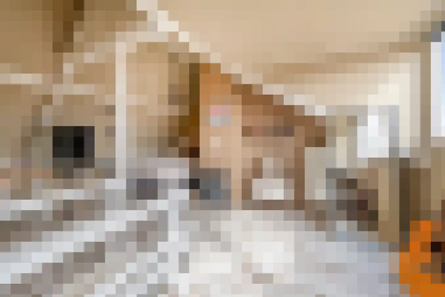 Baanstraat 75 Beverwijk thumbnail 48