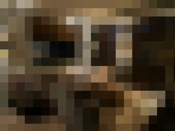 Baanstraat 9 Hoorn thumbnail 33