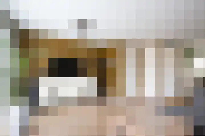 Baanvak 101 Aalsmeer thumbnail 10