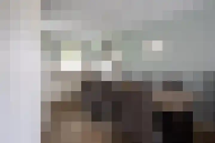 Baanvak 101 Aalsmeer thumbnail 12
