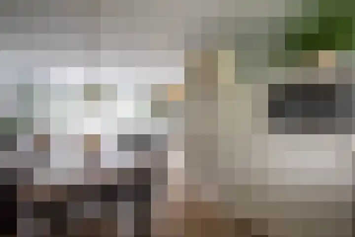 Baanvak 101 Aalsmeer thumbnail 15