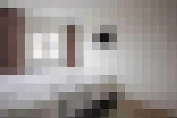 Baanvak 101 Aalsmeer thumbnail 17