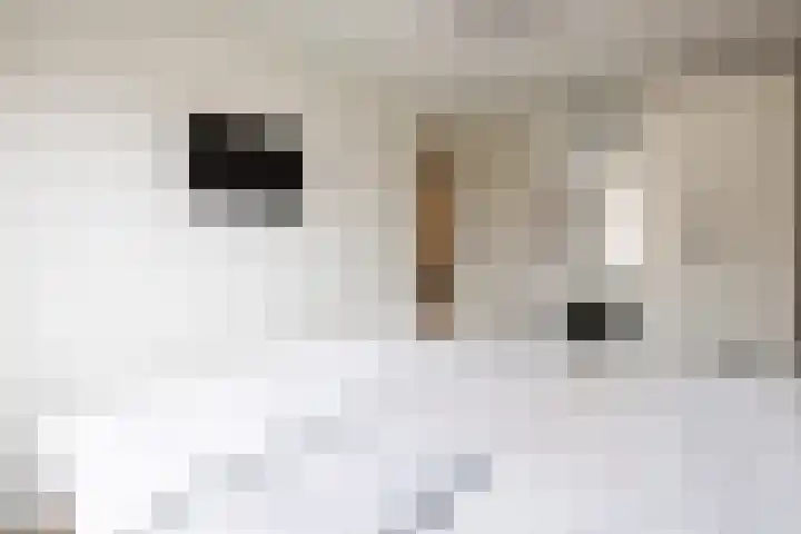 Baanvak 101 Aalsmeer thumbnail 19