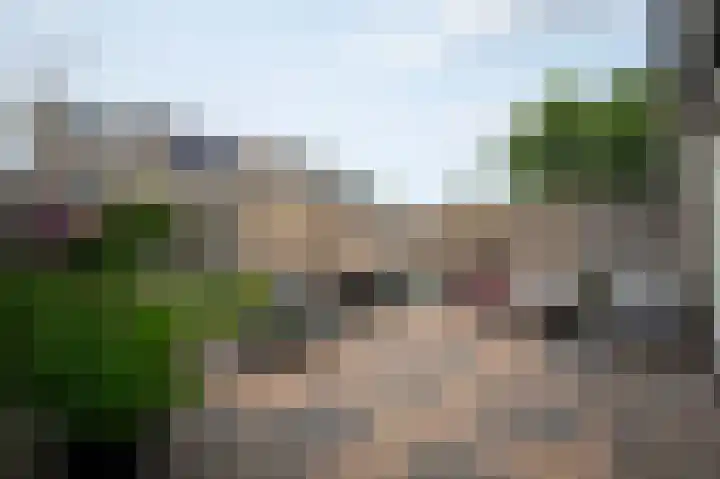 Baanvak 101 Aalsmeer thumbnail 32
