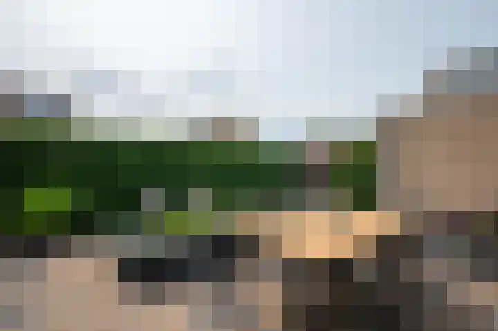Baanvak 101 Aalsmeer thumbnail 33