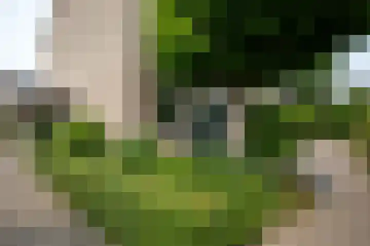 Baanvak 101 Aalsmeer thumbnail 36