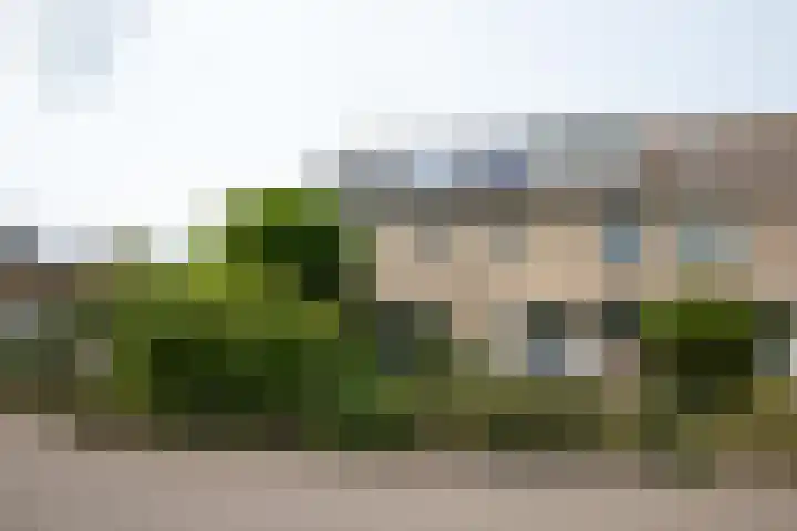 Baanvak 101 Aalsmeer thumbnail 37