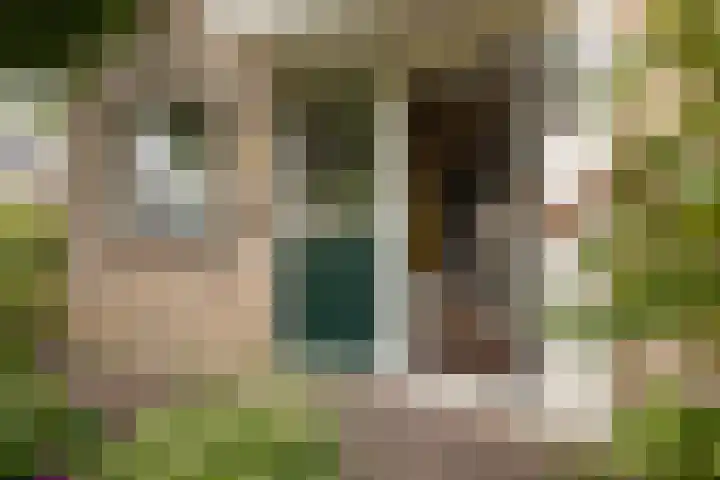 Baanvak 101 Aalsmeer thumbnail 5