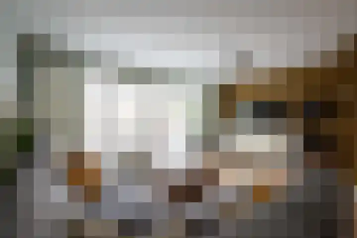 Baanvak 101 Aalsmeer thumbnail 9
