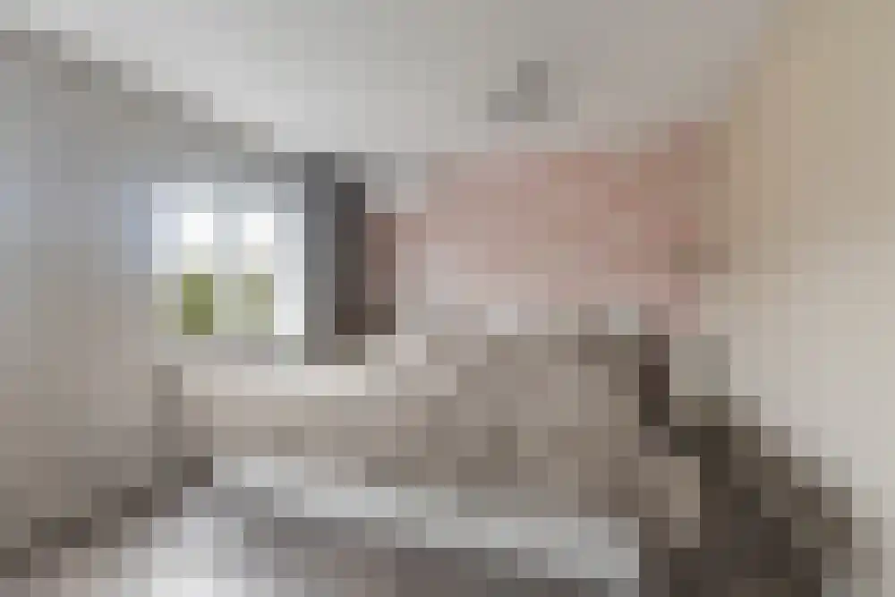 Baanvak 79 Aalsmeer thumbnail 18