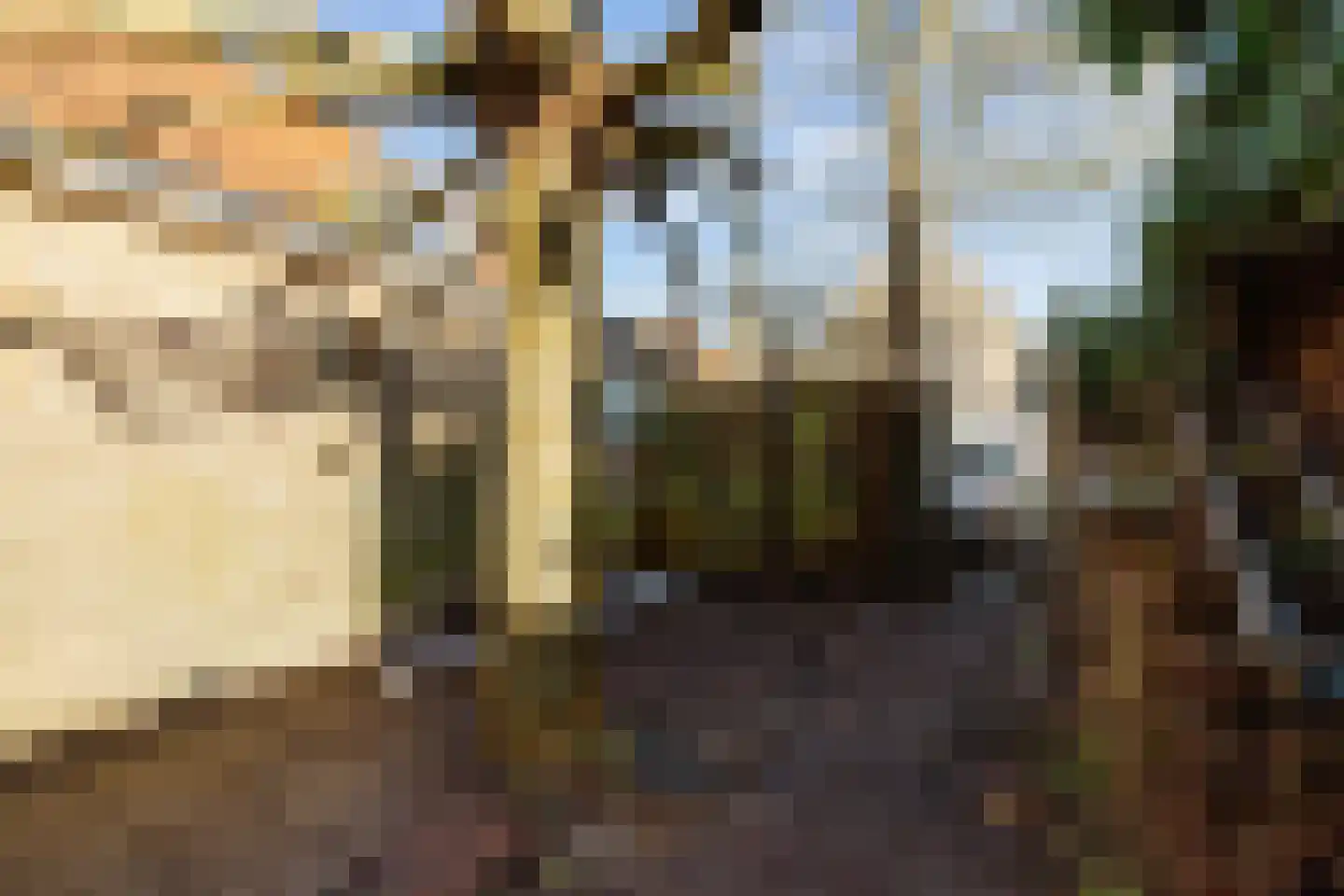 Baanweg 156 Sloten thumbnail 33