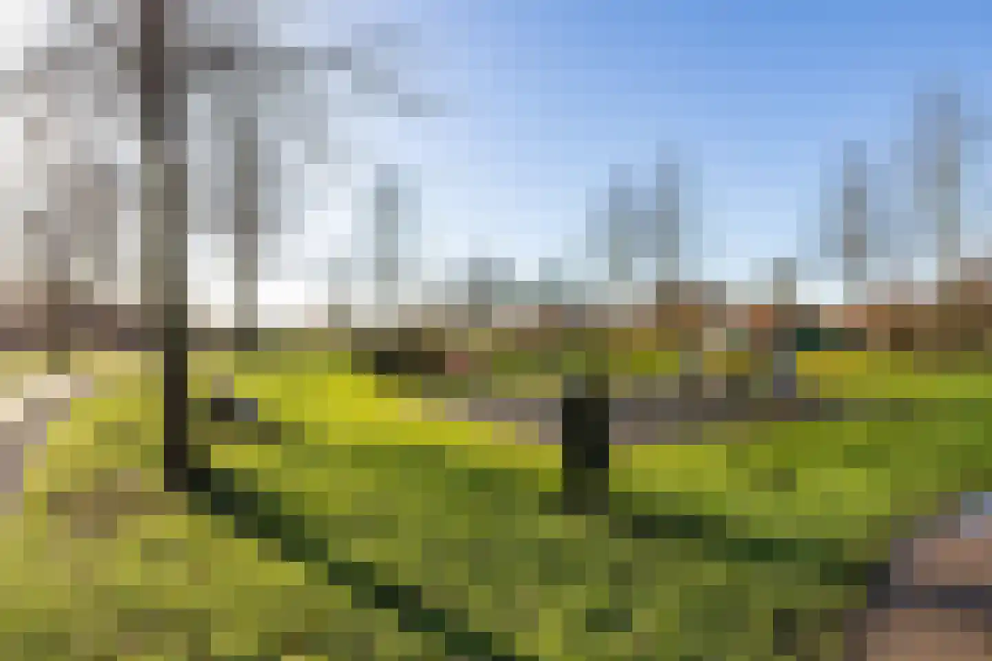 Baanweg 156 Sloten thumbnail 41