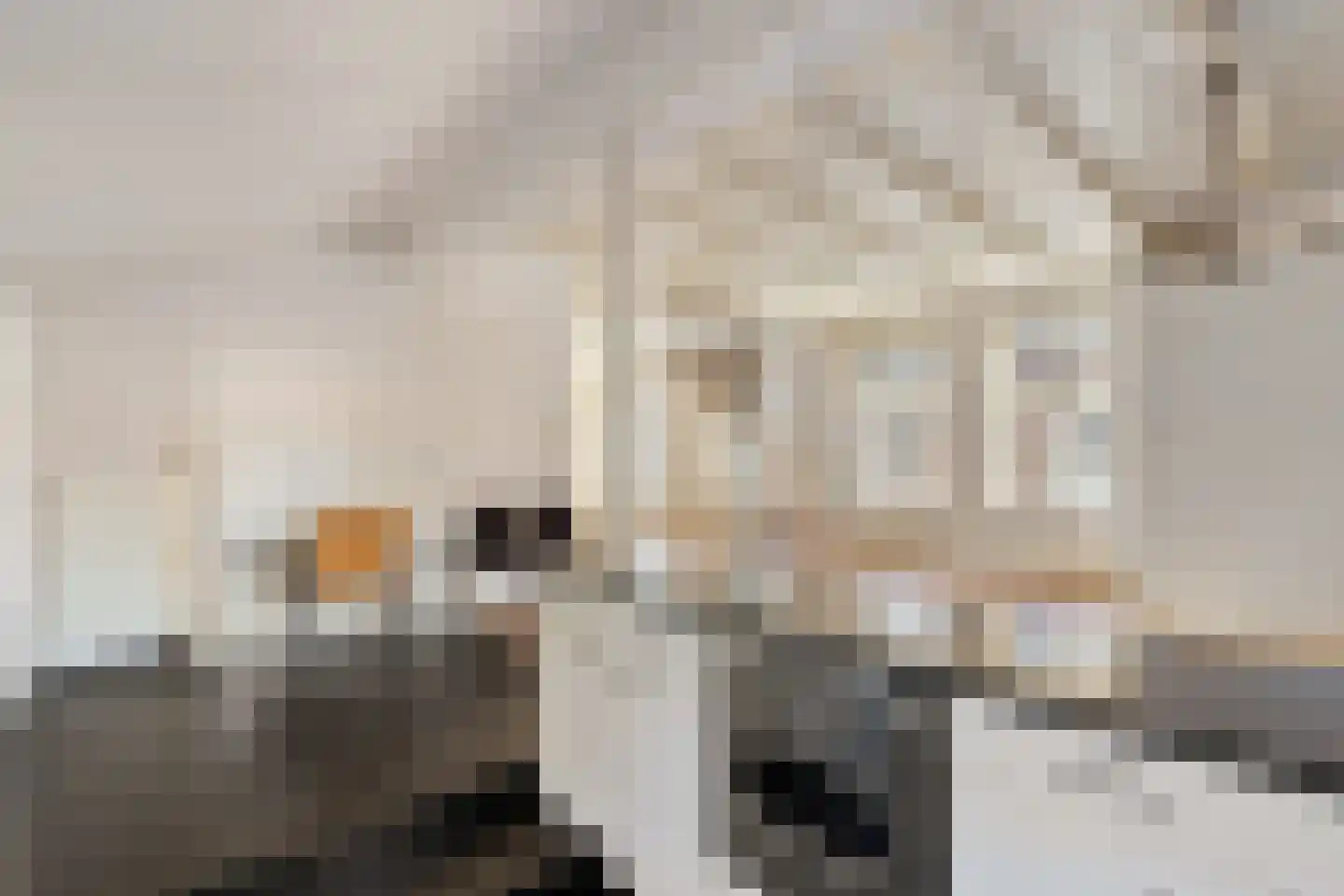 Baanweg 156 Sloten thumbnail 9