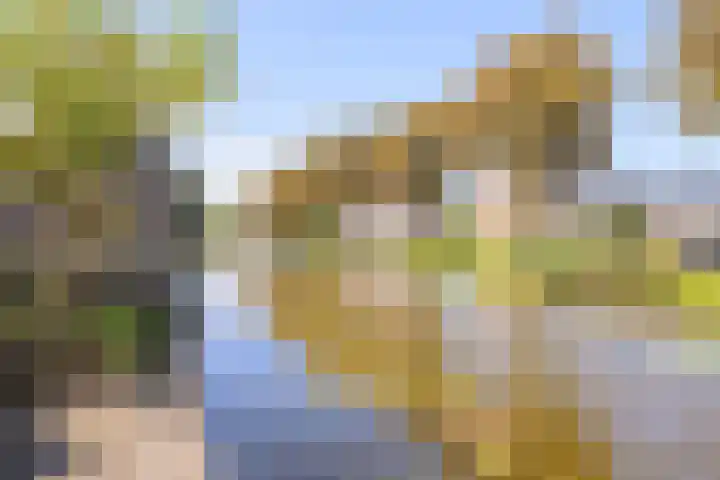 Baanweydt 5 Medemblik thumbnail 36