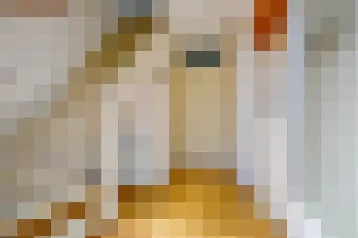 Baanweydt 5 Medemblik thumbnail 6