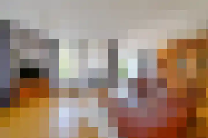 Baanweydt 5 Medemblik thumbnail 8