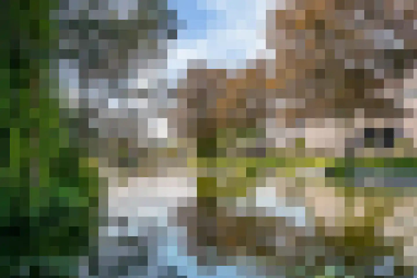 Baanweydt 6 Medemblik thumbnail 69
